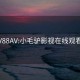 V88AV:小毛驴影视在线观看