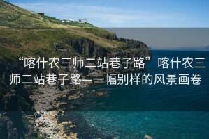 “喀什农三师二站巷子路”喀什农三师二站巷子路—一幅别样的风景画卷