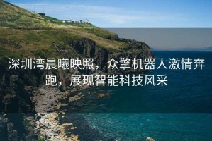 深圳湾晨曦映照，众擎机器人激情奔跑，展现智能科技风采