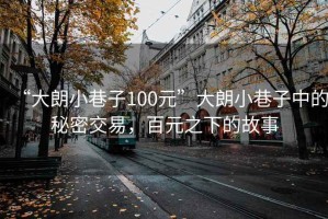 “大朗小巷子100元”大朗小巷子中的秘密交易，百元之下的故事