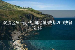 双流区50元小胡同地址:成都200快餐年轻