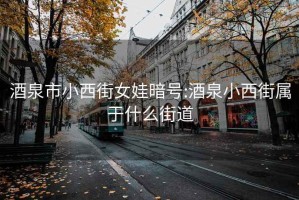 酒泉市小西街女娃暗号:酒泉小西街属于什么街道