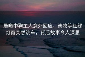 晨曦中狗主人意外回应，德牧等红绿灯竟突然跳车，背后故事令人深思