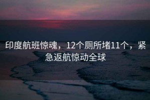 印度航班惊魂，12个厕所堵11个，紧急返航惊动全球