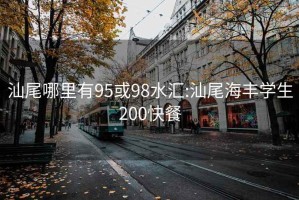 汕尾哪里有95或98水汇:汕尾海丰学生200快餐