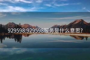 929598:929598服务是什么意思?