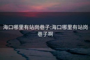 海口哪里有站岗巷子:海口哪里有站岗巷子啊