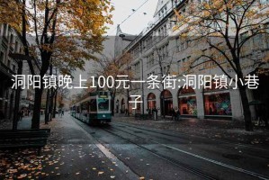 洞阳镇晚上100元一条街:洞阳镇小巷子