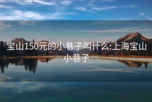 宝山150元的小巷子叫什么:上海宝山小巷子