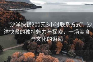 “沙洋快餐200元3小时联系方式”沙洋快餐的独特魅力与探索，一场美食与文化的邂逅