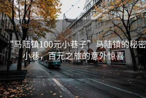 “马陆镇100元小巷子”马陆镇的秘密小巷，百元之旅的意外惊喜