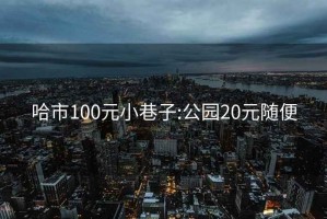 哈市100元小巷子:公园20元随便