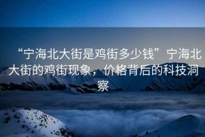 “宁海北大街是鸡街多少钱”宁海北大街的鸡街现象，价格背后的科技洞察