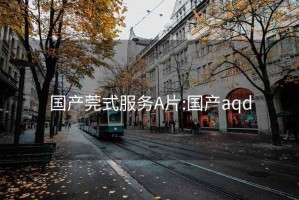 国产莞式服务A片:国产aqd