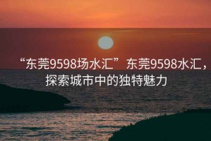 “东莞9598场水汇”东莞9598水汇，探索城市中的独特魅力