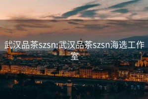 武汉品茶szsn:武汉品茶szsn海选工作室