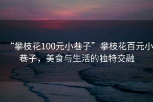 “攀枝花100元小巷子”攀枝花百元小巷子，美食与生活的独特交融