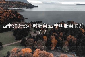 西宁300元3小时服务:西宁叫服务联系方式