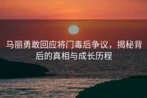 马丽勇敢回应将门毒后争议，揭秘背后的真相与成长历程