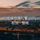 palipali2在线检测观看:palipali线路检测一整晚