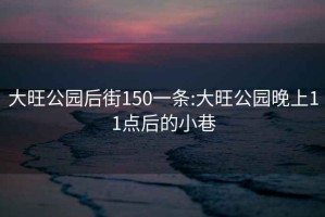 大旺公园后街150一条:大旺公园晚上11点后的小巷