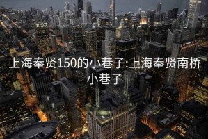 上海奉贤150的小巷子:上海奉贤南桥小巷子