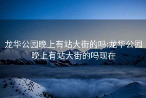 龙华公园晚上有站大街的吗:龙华公园晚上有站大街的吗现在