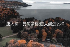 唐人阁一品阁茶楼:唐人阁怎么样