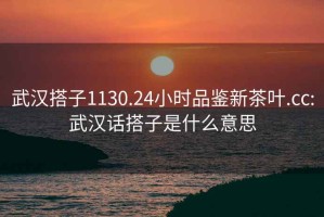 武汉搭子1130.24小时品鉴新茶叶.cc:武汉话搭子是什么意思