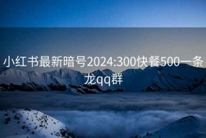 小红书最新暗号2024:300快餐500一条龙qq群