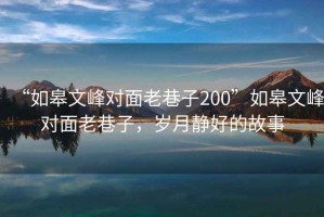 “如皋文峰对面老巷子200”如皋文峰对面老巷子，岁月静好的故事