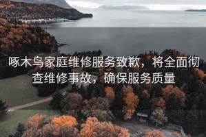 啄木鸟家庭维修服务致歉，将全面彻查维修事故，确保服务质量