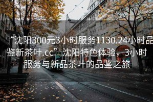 “沈阳300元3小时服务1130.24小时品鉴新茶叶.cc”沈阳特色体验，3小时服务与新品茶叶的品鉴之旅