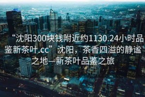 “沈阳300块钱附近约1130.24小时品鉴新茶叶.cc”沈阳，茶香四溢的静谧之地—新茶叶品鉴之旅