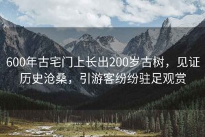 600年古宅门上长出200岁古树，见证历史沧桑，引游客纷纷驻足观赏