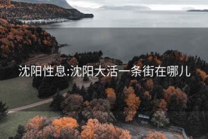 沈阳性息:沈阳大活一条街在哪儿