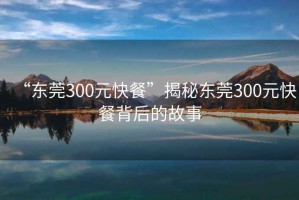 “东莞300元快餐”揭秘东莞300元快餐背后的故事