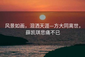 风景如画，泪洒天涯—方大同离世，薛凯琪悲痛不已