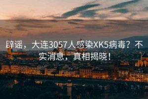 辟谣，大连3057人感染XK5病毒？不实消息，真相揭晓！