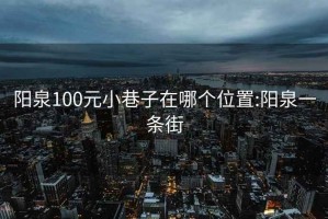 阳泉100元小巷子在哪个位置:阳泉一条街