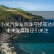 去年小米汽车业务净亏损高达62亿，未来发展路径引关注