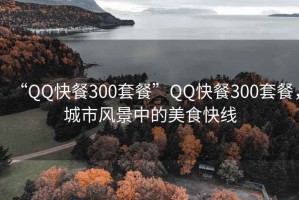 “QQ快餐300套餐”QQ快餐300套餐，城市风景中的美食快线