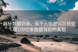 揭秘数据巨兽，偷个人信息公司日处理100亿条数据背后的真相