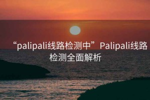 “palipali线路检测中”Palipali线路检测全面解析