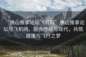 “佛山推拿论坛飞机网”佛山推拿论坛与飞机网，融合传统与现代，共筑健康与飞行之梦