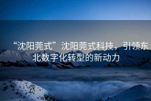 “沈阳莞式”沈阳莞式科技，引领东北数字化转型的新动力