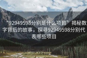 “92949598分别是什么项目”揭秘数字背后的故事，探寻92949598分别代表哪些项目