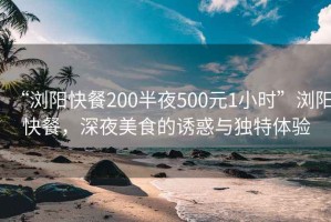 “浏阳快餐200半夜500元1小时”浏阳快餐，深夜美食的诱惑与独特体验