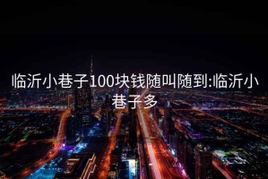 临沂小巷子100块钱随叫随到:临沂小巷子多