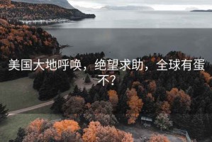 美国大地呼唤，绝望求助，全球有蛋不？